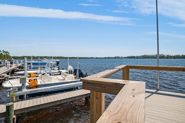 dock area with a water view