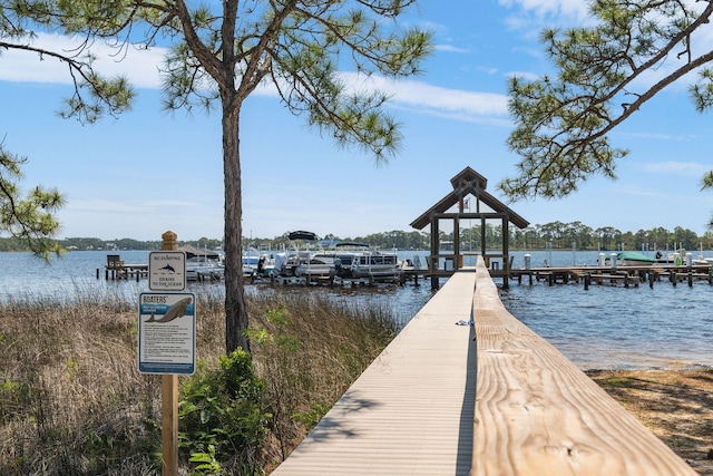 dock area with a water view