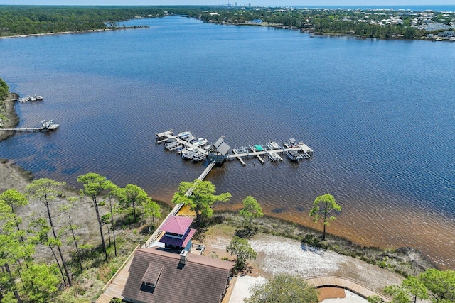 drone / aerial view with a water view