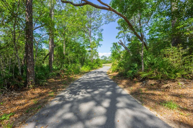 135 Caraway Dr, Niceville, FL 32578 - photo 52