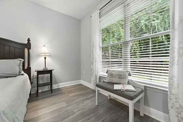 472 W College Blvd, Valparaiso, FL 32580 - bedroom featuring multiple windows, wood finished floors, and vaulted ceiling