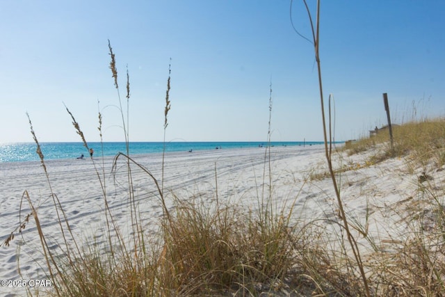 water view featuring a beach view