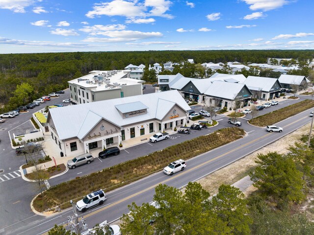 219 Dalton Dr, Santa Rosa Beach, FL 32459 - photo 43