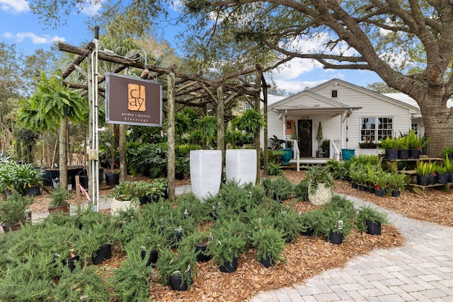 219 Dalton Dr, Santa Rosa Beach, FL 32459 - photo 50