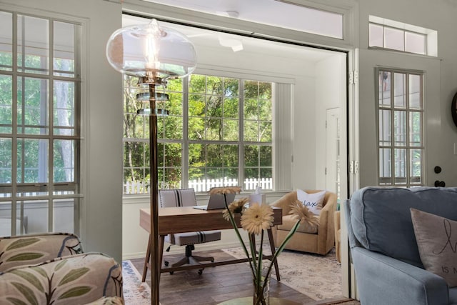 interior space featuring baseboards, a healthy amount of sunlight, and wood finished floors
