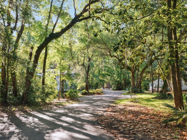 LOT9 E Shallows Dr, Santa Rosa Beach, FL 32459 - photo 3
