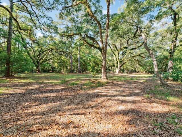LOT9 E Shallows Dr, Santa Rosa Beach, FL 32459 - photo 4