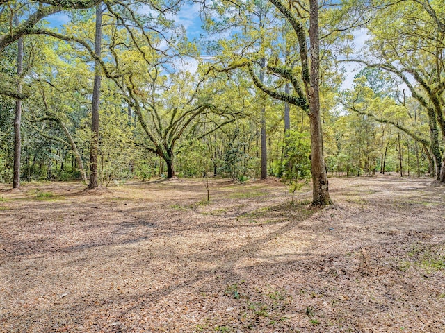 LOT9 E Shallows Dr, Santa Rosa Beach, FL 32459 - photo 5