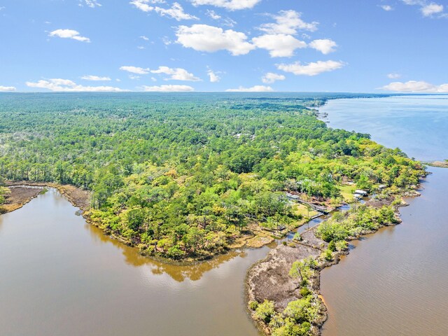 LOT9 E Shallows Dr, Santa Rosa Beach, FL 32459 - photo 10