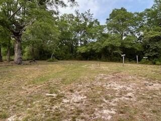 view of undeveloped land