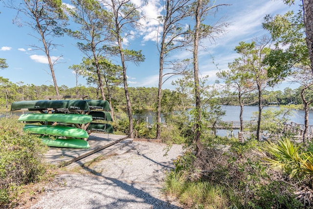 90 Basal St, Inlet Beach, FL 32461 - view of home's community with a water view