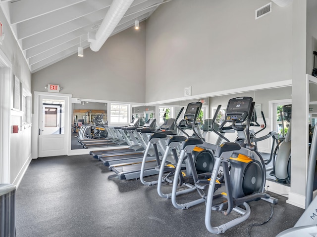 90 Basal St, Inlet Beach, FL 32461 - exercise room with high vaulted ceiling and healthy amount of natural light