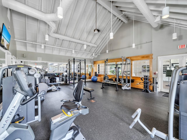 90 Basal St, Inlet Beach, FL 32461 - gym featuring high vaulted ceiling and beamed ceiling