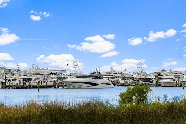 2478 Bungalo Ln, Miramar Beach, FL 32550 - photo 40