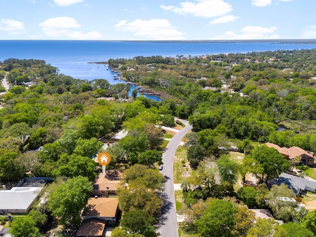 drone / aerial view of a nearby body of water