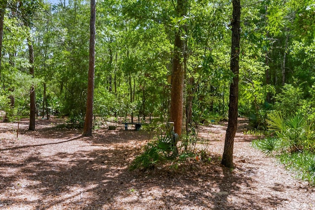 view of woods
