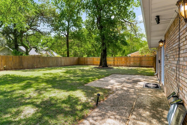 view of yard featuring a patio area