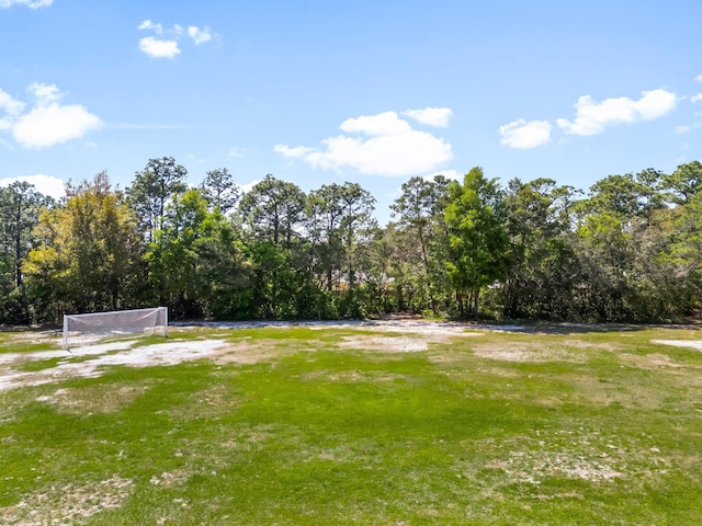 view of yard with an area for soccer