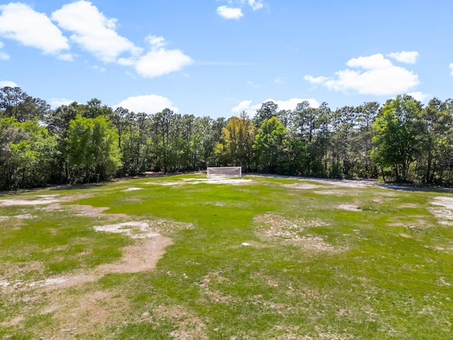 view of yard with an area for sports