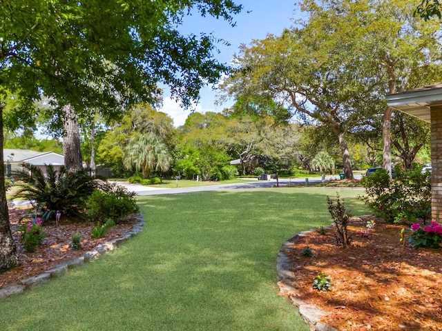 view of grassy yard