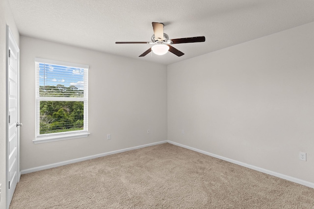 192 This Way, Freeport, FL 32439 - photo 21