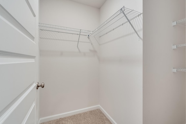walk in closet featuring carpet