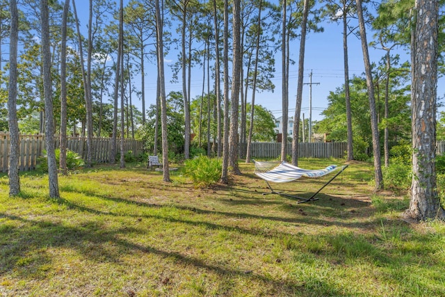 9124 Orlando Ave, Navarre, FL 32566 - view of yard