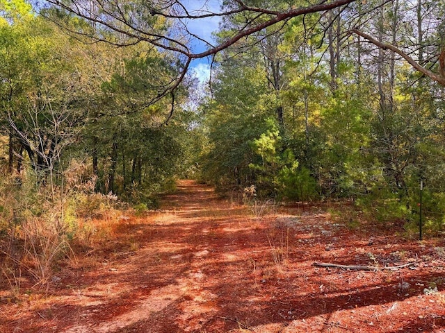 178 Osage Dr, Defuniak Springs, FL 32433 - view of local wilderness featuring a wooded view