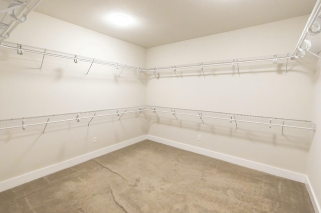 walk in closet featuring carpet floors