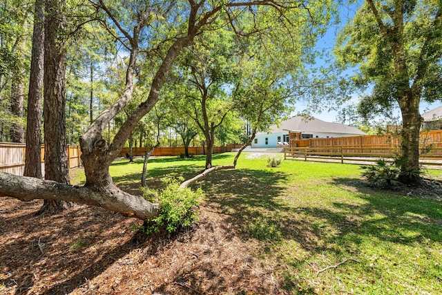 view of yard featuring a fenced backyard