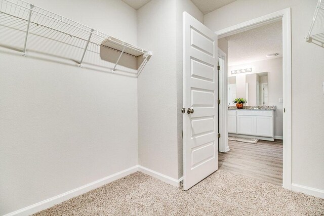 8760 Bluebell St, Milton, FL 32583 - walk in closet featuring light carpet