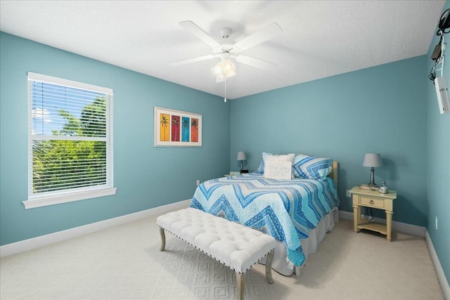 498 Shelter Cove Dr, Santa Rosa Beach, FL 32459 - photo 19