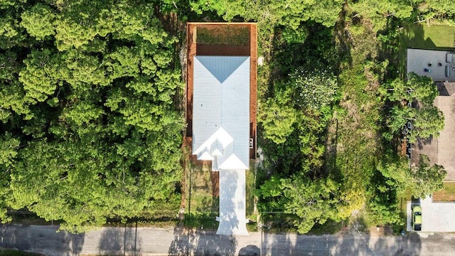 42 Central 8th St, Santa Rosa Beach, FL 32459 - birds eye view of property