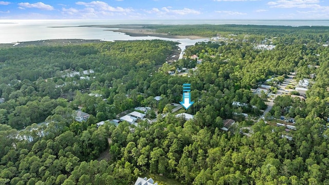 42 Central 8th St, Santa Rosa Beach, FL 32459 - bird's eye view with a water view and a wooded view