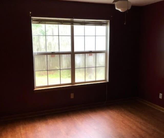 spare room featuring a healthy amount of sunlight, baseboards, and wood finished floors