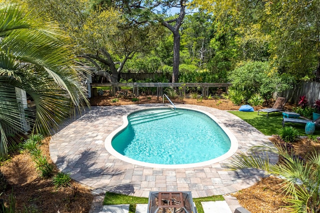 view of swimming pool with a fenced backyard and a fenced in pool