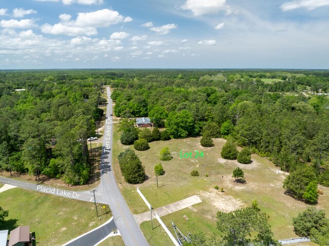 LOT24 Ten Lake Dr, Defuniak Springs, FL 32433