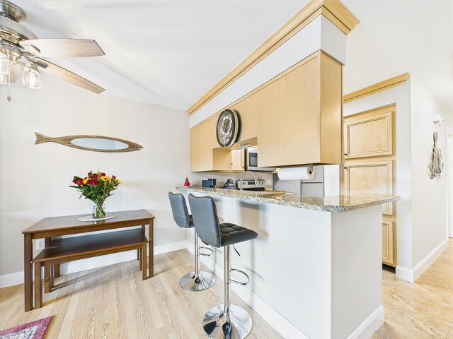 210 Southlake Ct Unit 210, Niceville, FL 32578 - kitchen featuring light brown cabinetry, light wood-type flooring, a ceiling fan, and light stone counters