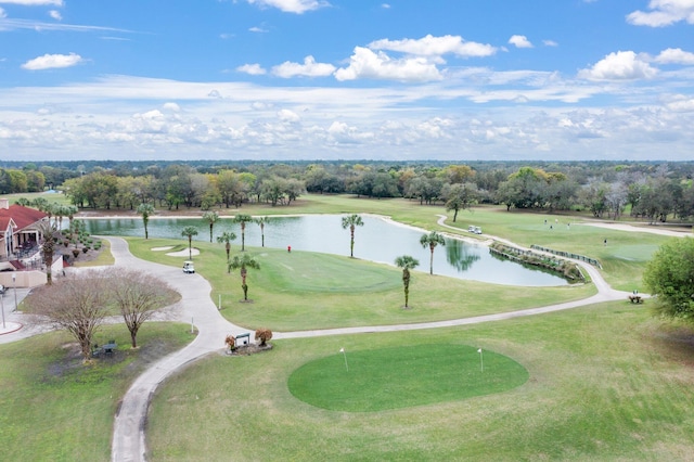 7008 Turnberry Cir, Navarre, FL 32566 - surrounding community with a water view