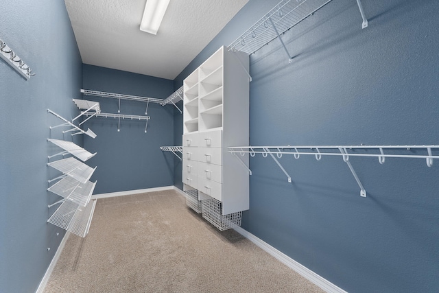7008 Turnberry Cir, Navarre, FL 32566 - spacious closet featuring carpet