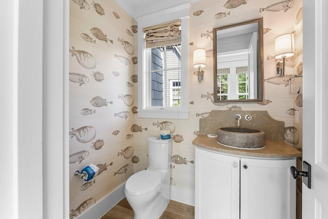 98 Compass Point Way, Inlet Beach, FL 32461 - bathroom featuring toilet and vanity