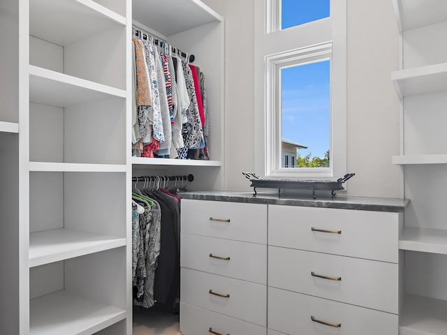 182 My Way, Santa Rosa Beach, FL 32459 - view of walk in closet