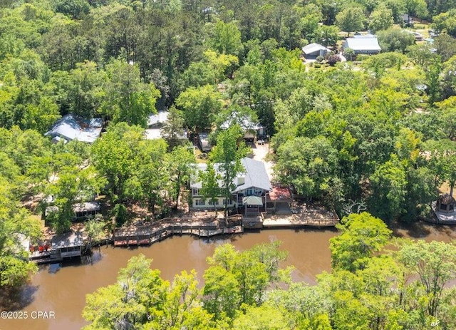 7930 Bunker Rd, Vernon, FL 32462 - bird's eye view of a large body of water and a forest