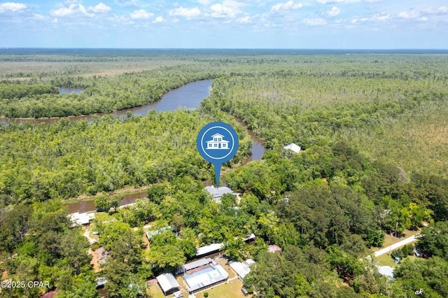 7930 Bunker Rd, Vernon, FL 32462 - aerial view of a heavily wooded area and a large body of water
