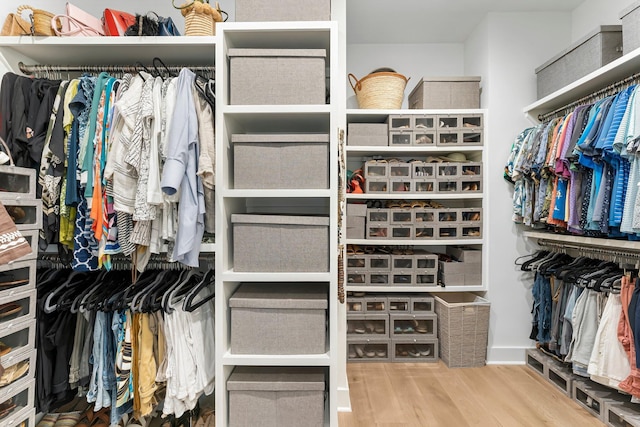 10 Basal St, Inlet Beach, FL 32461 - walk in closet with wood finished floors