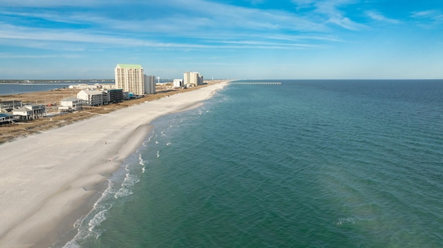 bird's eye view with a view of the beach and a water view