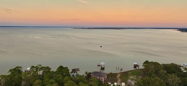 property view of water