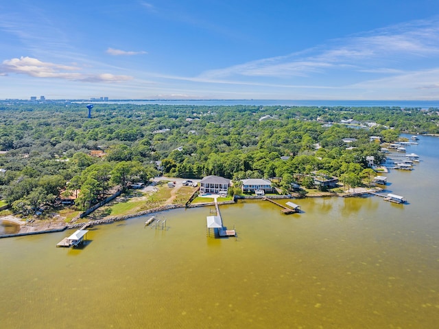 birds eye view of property with a view of trees and a water view