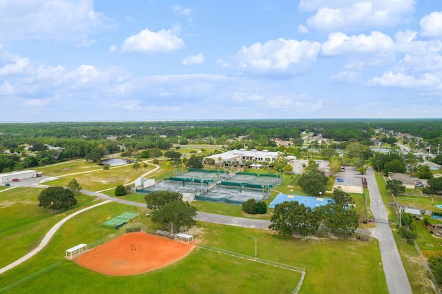 drone / aerial view