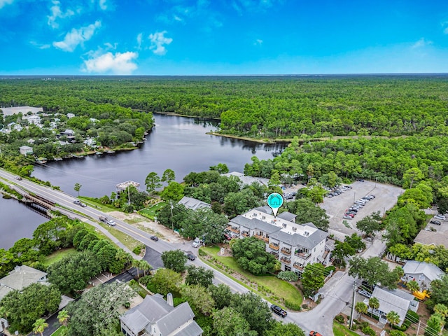 aerial view with a water view and a view of trees